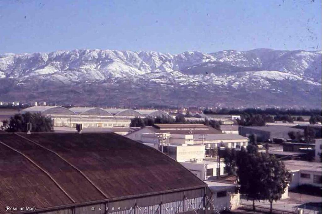 119 - AERODROMES ET BASES 1945-1962-1-BLIDA BA 140 (23).jpg